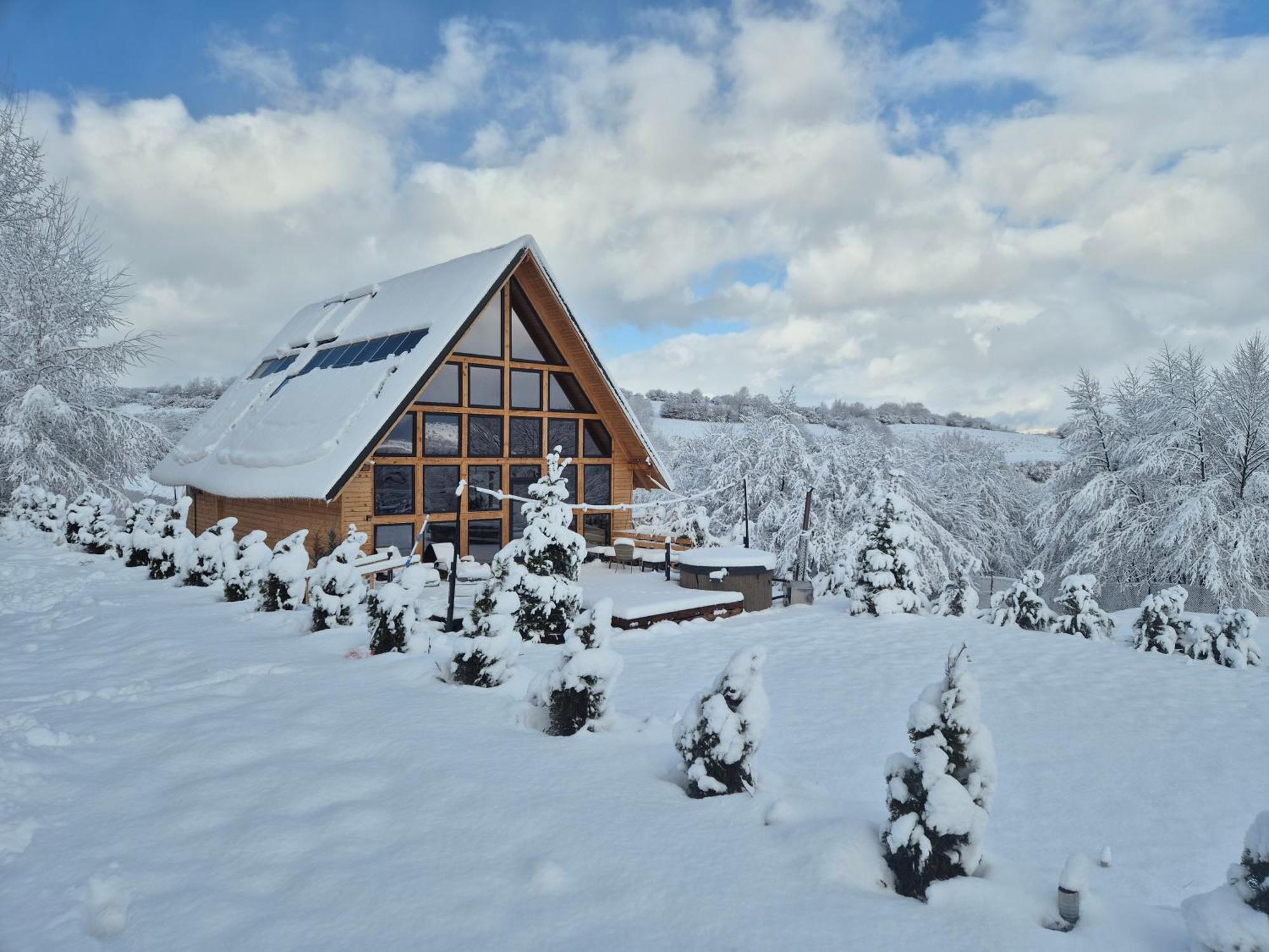 Cabana Timbernest Bran  Buitenkant foto