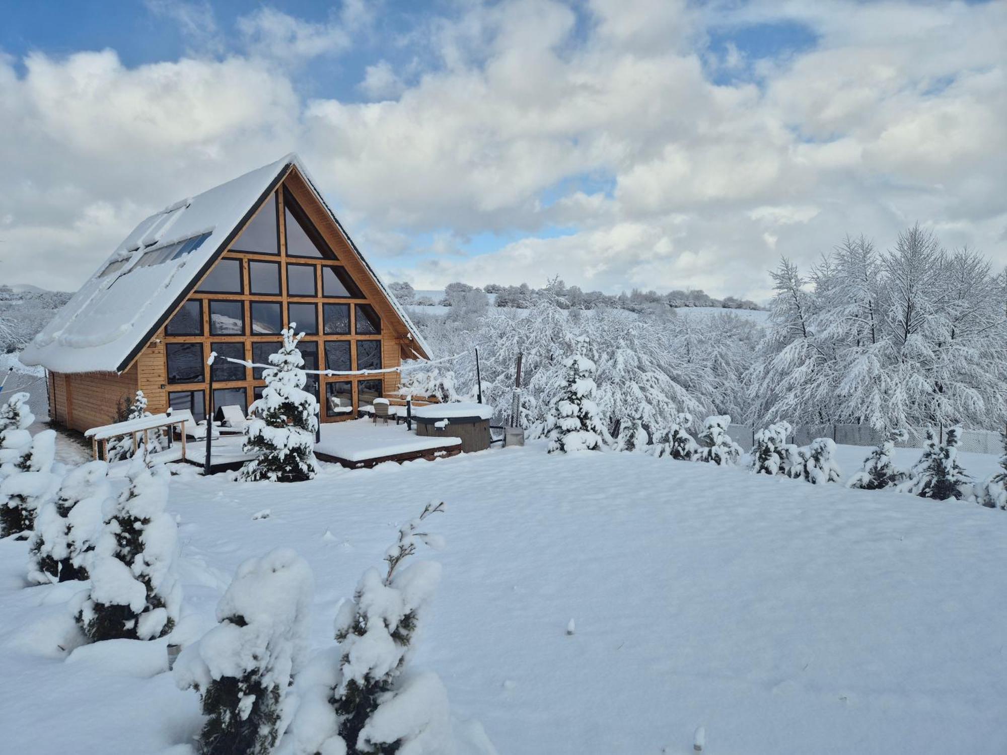 Cabana Timbernest Bran  Buitenkant foto
